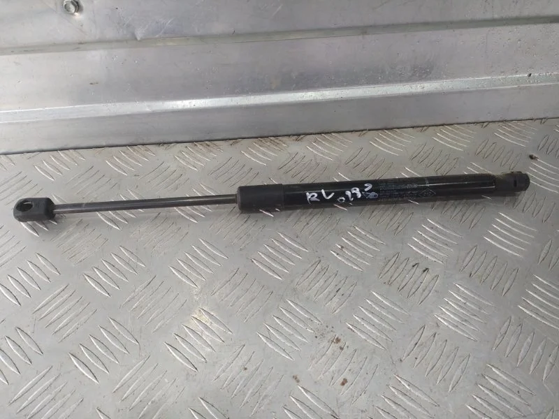 Амортизатор багажника Renault Duster 2009-2014 904520004R HSA F4R, задний левый