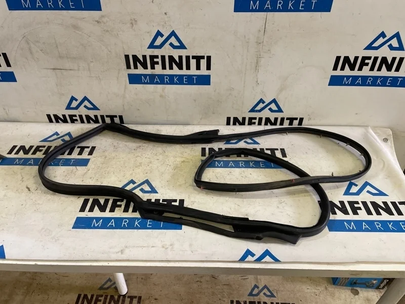 Резинка двери уплотнительная задняя левая Infiniti