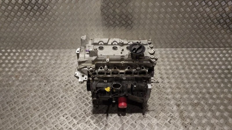 Двигатель Nissan Terrano 2020 D10