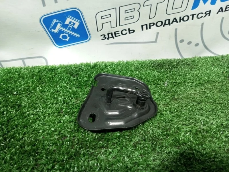 Петля капота Audi A6 Avant C7 CHV