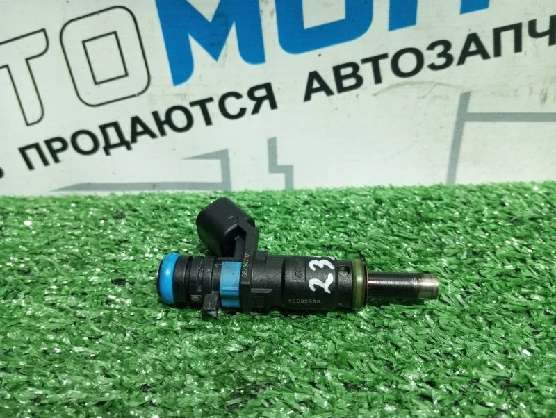 Форсунка топливная Chevrolet Cruze J300 F16D4