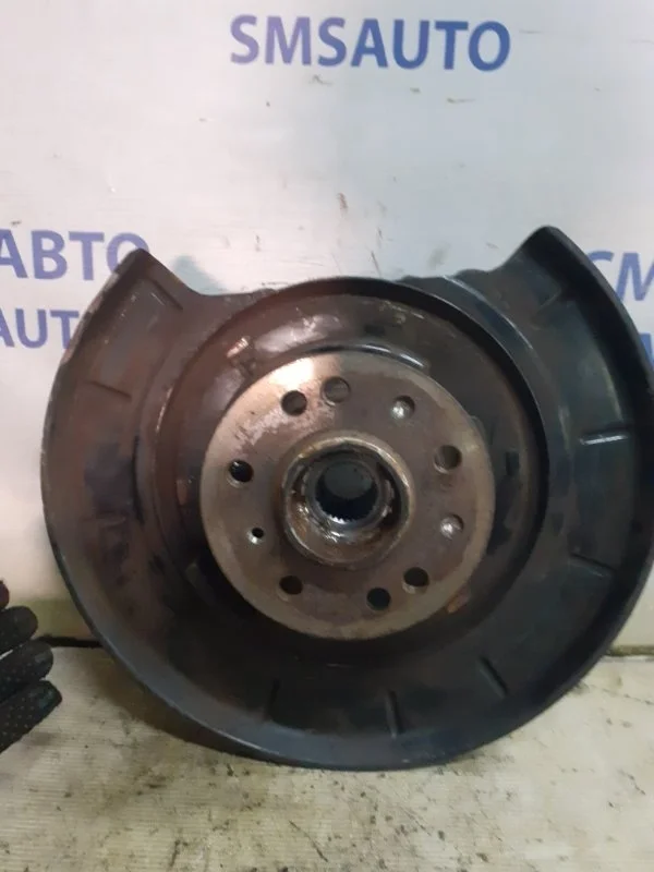 Кулак поворотный Mercedes-Benz R-Class A1643501308 W251, задний левый