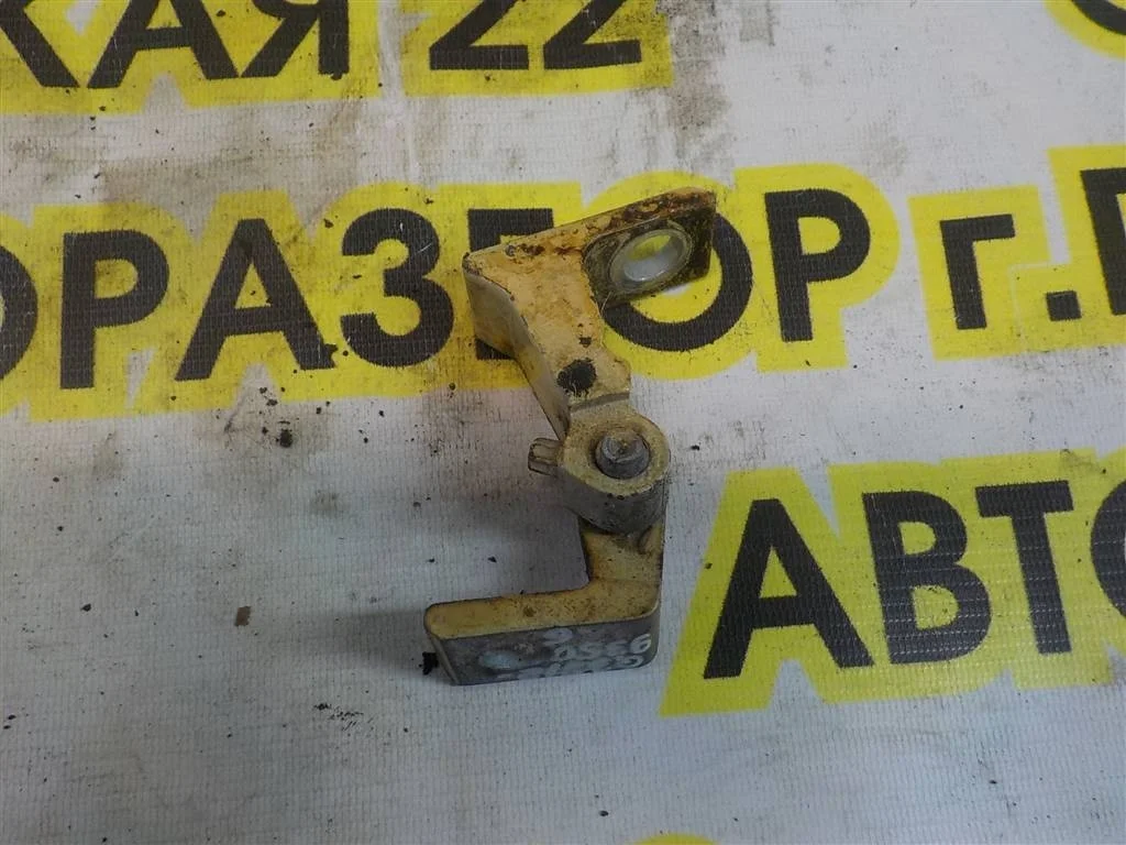 Петля двери Audi Q5 I (2008—2012)