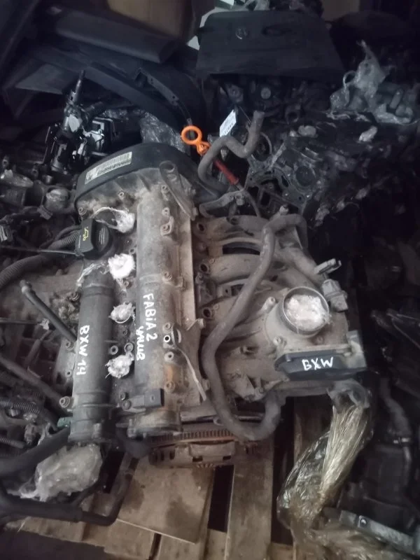 Двигатель Skoda Fabia MK2 2010