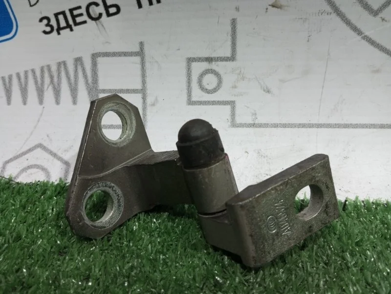 Петля двери задней задняя правая Volkswagen Passat