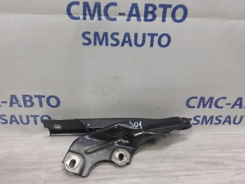 Петля капота Audi A7 2011 4G8823301E C7 3.0 CGW, левая