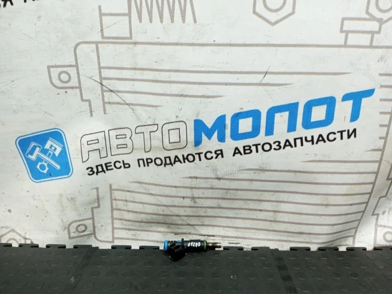Форсунка топливная Chevrolet Cruze J300 F16D4 2008