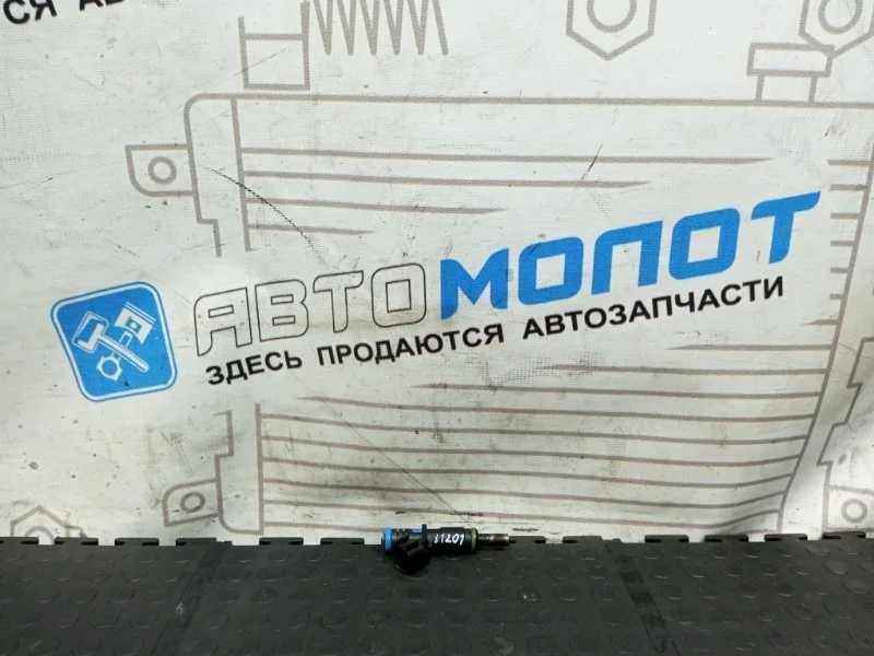 Форсунка топливная Chevrolet Cruze J300 F16D4 2008