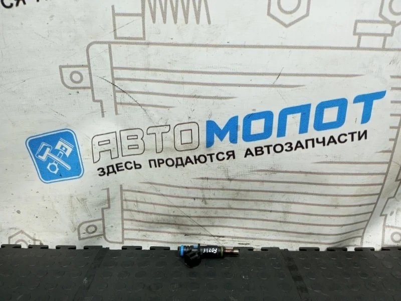 Форсунка топливная Chevrolet Cruze J300 F16D4 2008