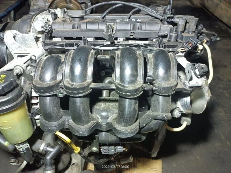 Коллектор впускной Ford Focus 3 (11-14) 1.6L