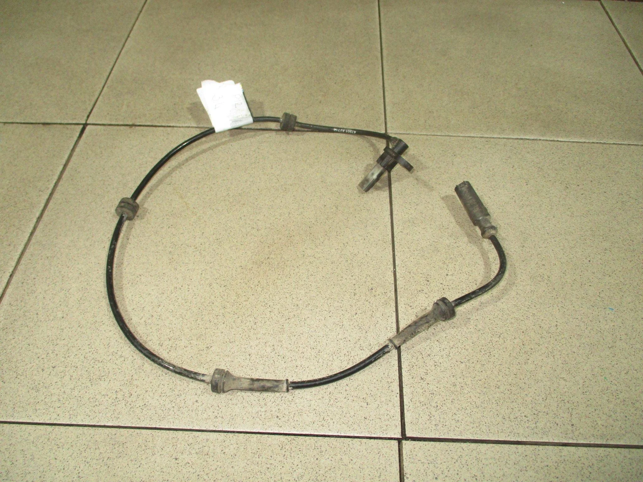 Датчик ABS задний левый Nissan Primera (P12) 2001-2008