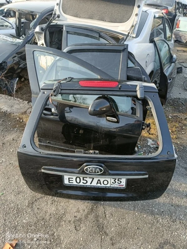 Дверь багажника Kia Sportage