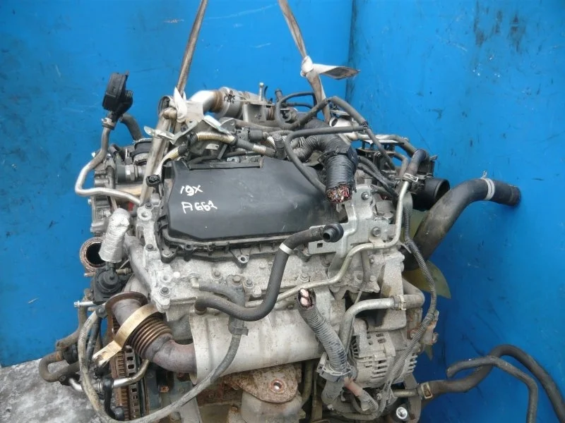 Двигатель Nissan Navara D40 2012 1010200Q3R 3.0 V9X