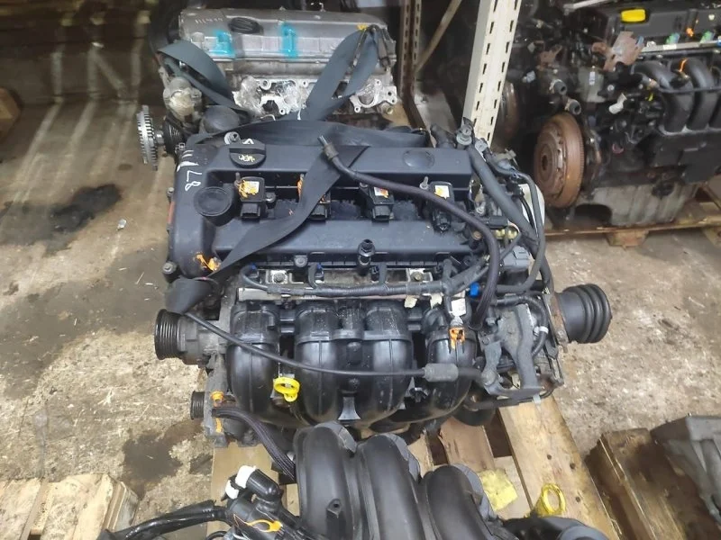 Двигатель Mazda 6 L83702300 GG L813