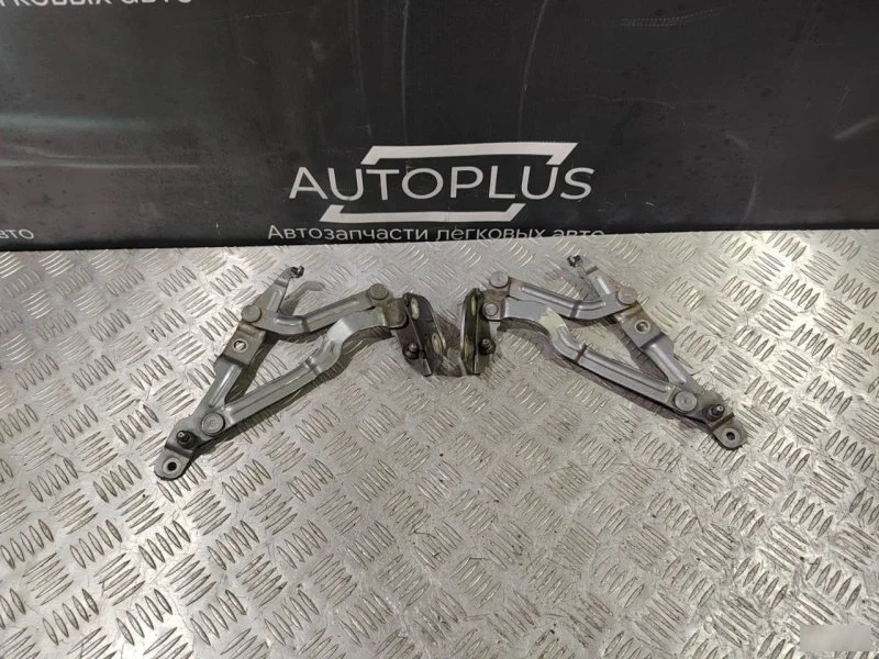 Петли крышки багажника Volkswagen Passat B5+ 3B5827301B 1.8, задние