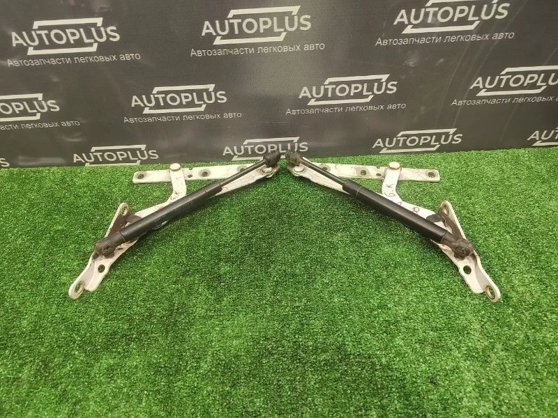 Петля крышки багажника Ford Focus 2007 YS41F42700AA СЕДАН 1.8 QQDB