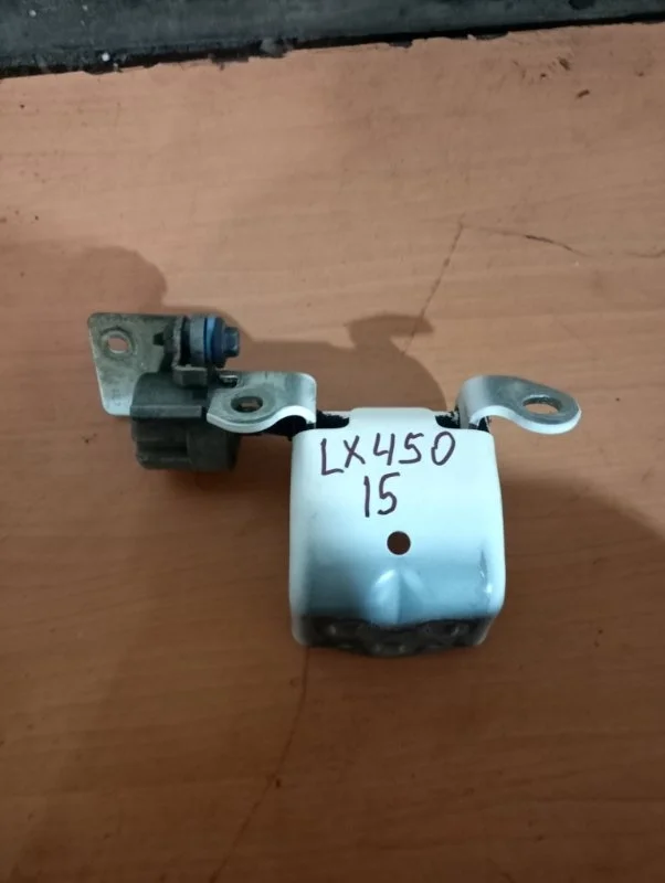 Петля двери багажника нижняя Lexus Lx450D 2015 6612060020 1VD-FTV 4.5, задняя левая