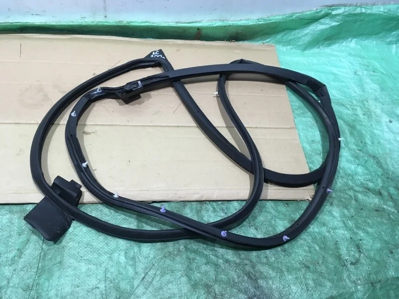 Уплотнитель двери Toyota Land Cruiser 200 2020 6787160110 URJ202 4.5 1VD-FTV, задний правый