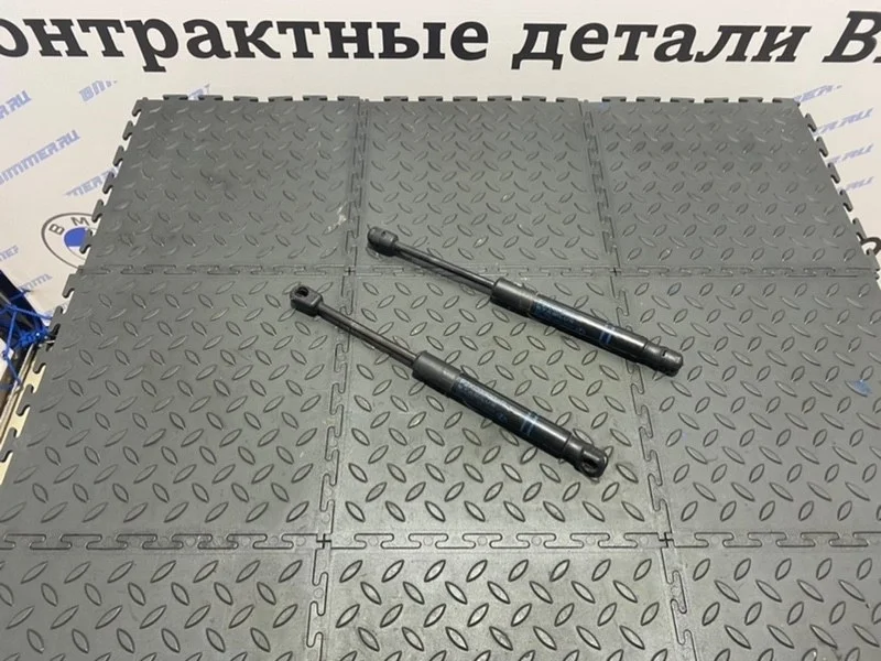 Амортизатор капота Bmw 51237239233 F22