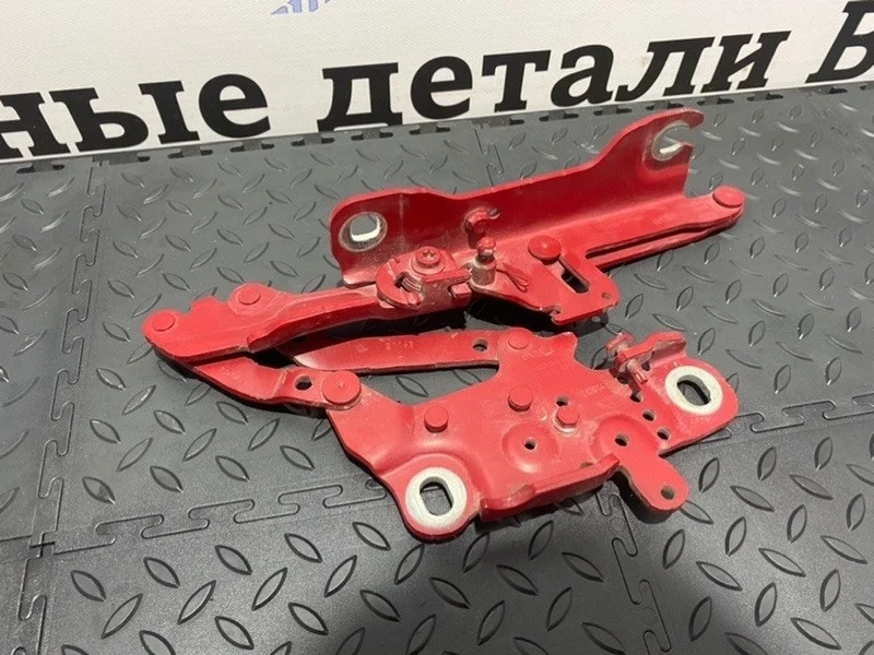 Петля капота Bmw 41617286343 F22, левая