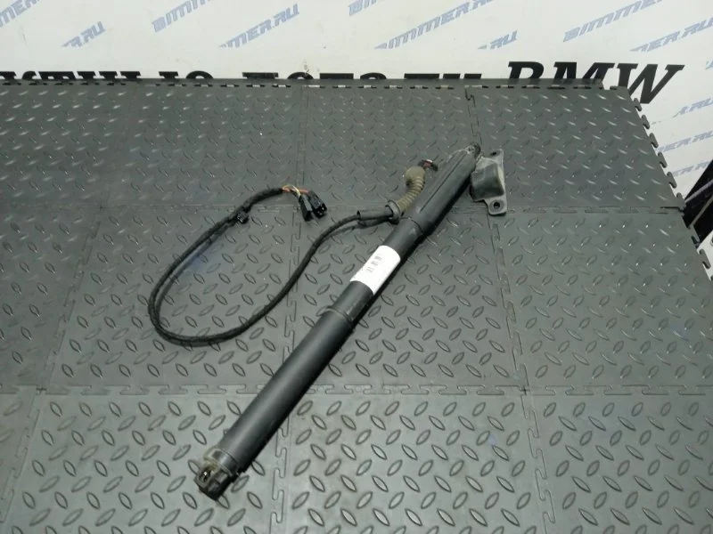 Доводчик двери багажника Bmw Х5 51247332695 Е70, левый