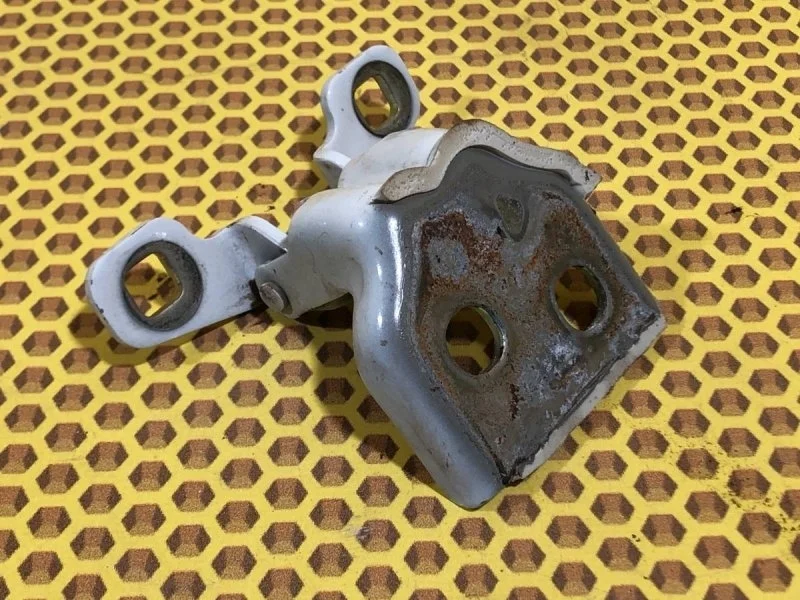 Петля двери задняя левая Renault Logan L52 K4M 845