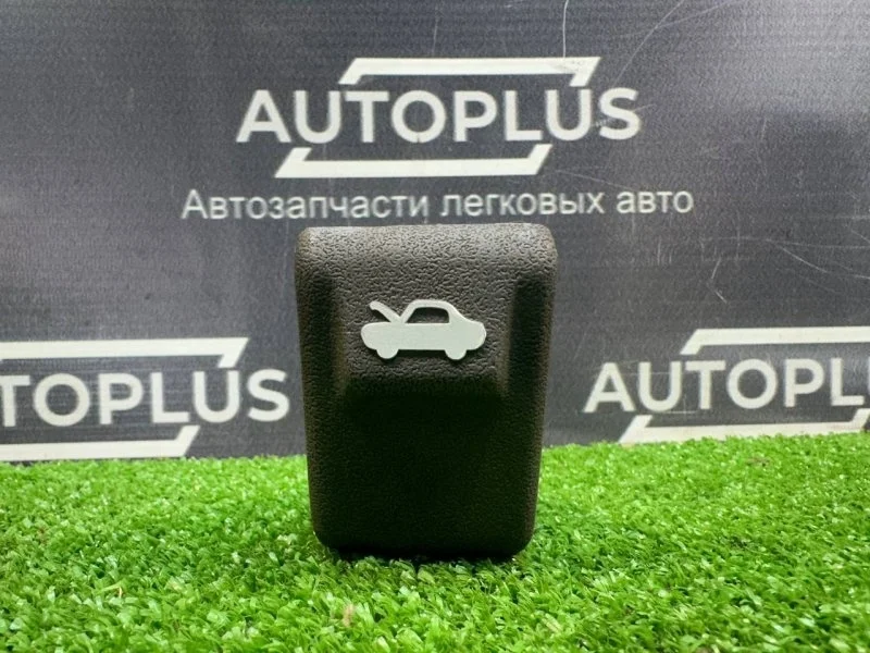 Ручка открывания капота Hyundai Accent 2005 8118034000LT СЕДАН 1.5 G4EC
