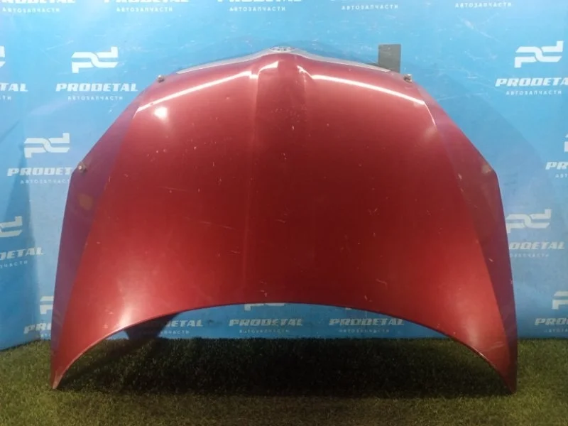 Капот Skoda Fabia BZG