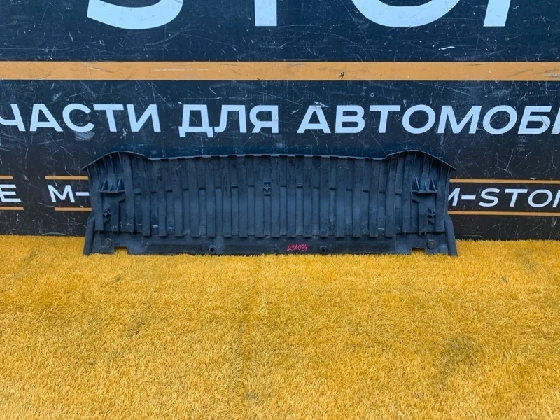 Защита бампера Audi A5 2010 8T