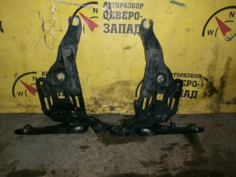 Петля капота Bmw X5 41007198618 E70 N62B48, правая