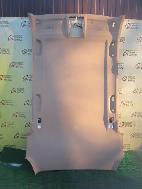 Обшивка потолка BMW X3 F25