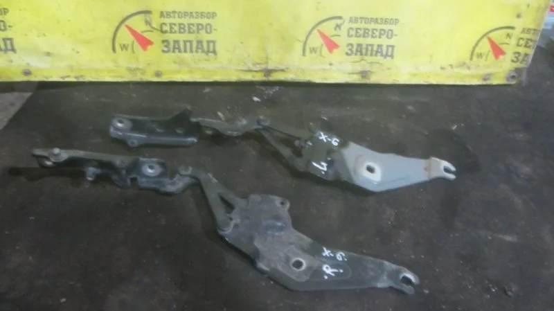 Петля капота Bmw X6 41007198618 E71 N54B30A, правая