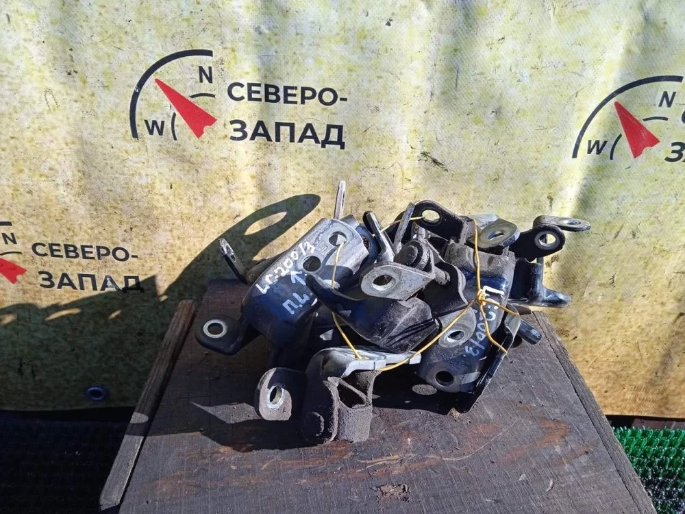 Петля двери Toyota Land Cruiser 2011 6875060080 VDJ200 1VDFTV, задняя правая