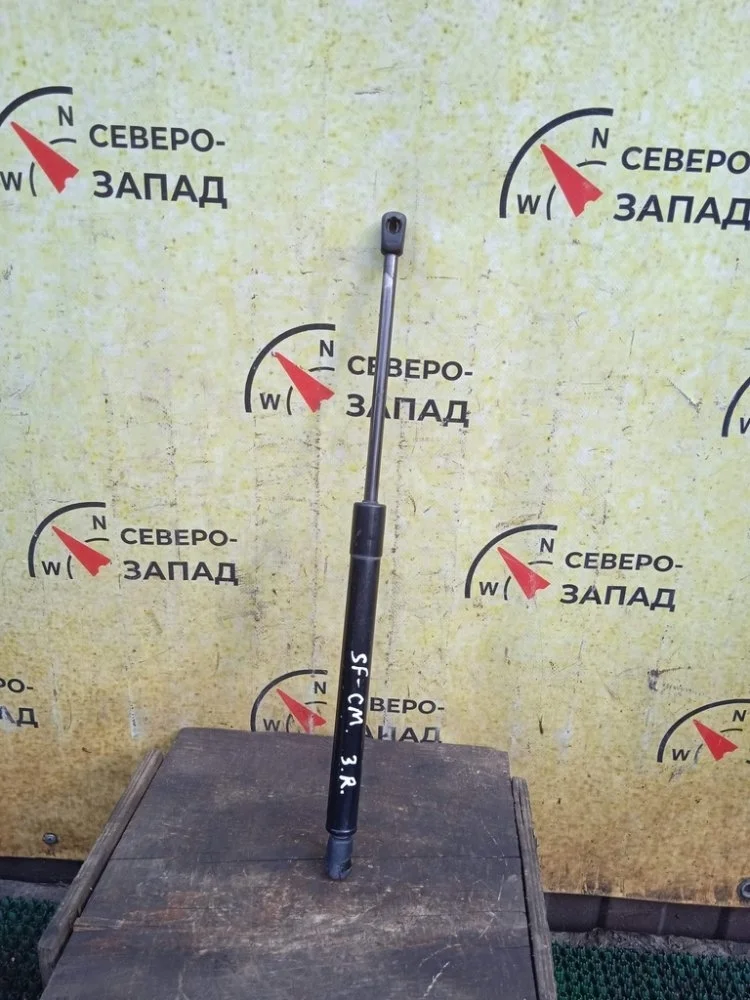 Амортизатор багажника Hyundai Santa Fe 2006 817702B000 CM G6EA