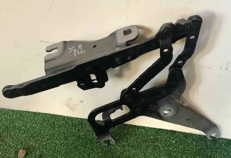 Петля капота Bmw X5 41007381781 F15, левая