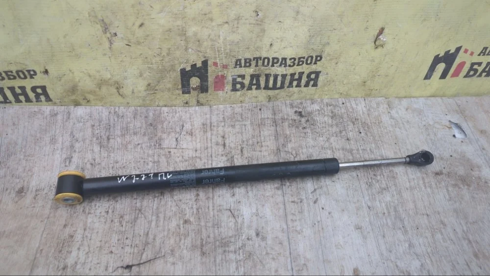 Амортизатор двери Mercedes S500 2006 A2217200016 W221 273.961, передний