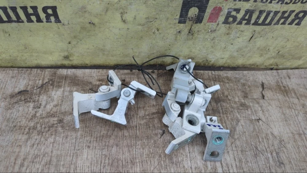 Петля двери Volkswagen Tiguan 2012 5N0831402 1 CTHA, задняя правая