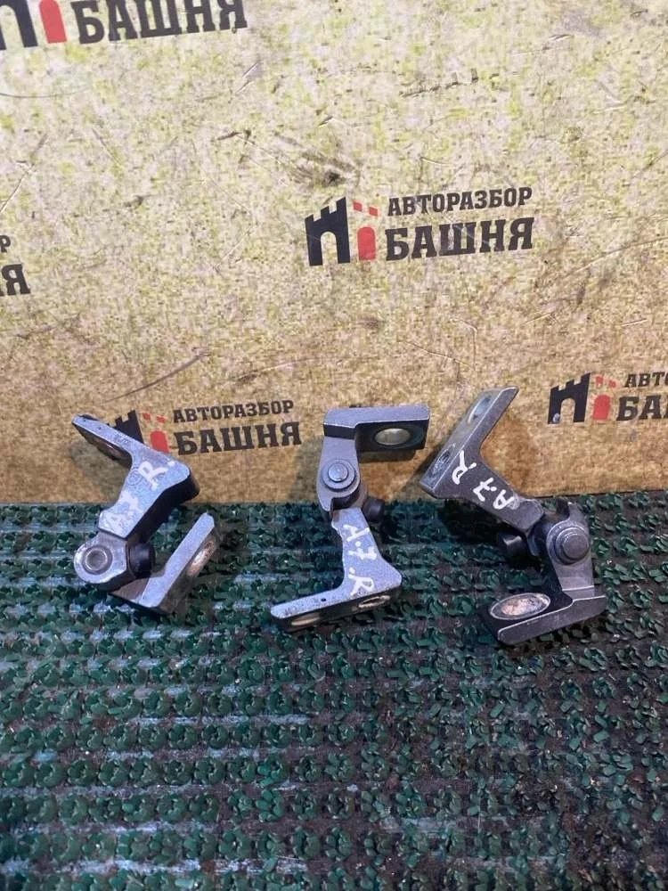 Петля двери Skoda Octavia 2018 8K0831402E A7 CWVA, задняя правая