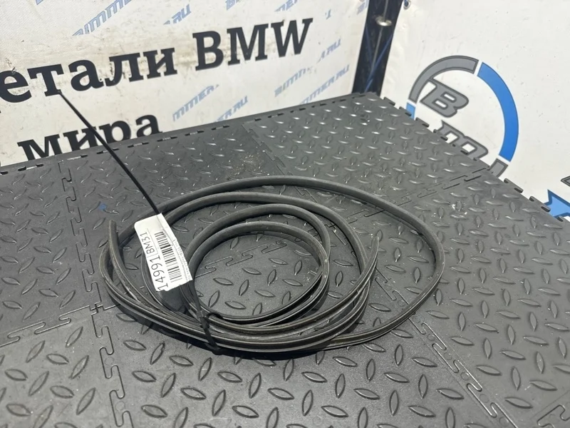 Уплотнитель стыка двери Bmw X6M 2012 51767221840 E71 S63B44A