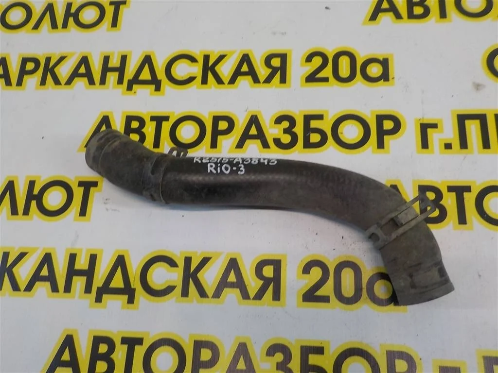Патрубок радиатора KIA RIO III (UB) 2011-2017