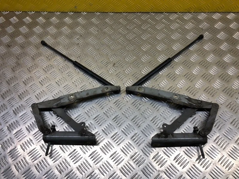 Петля капота Land Rover Range Rover Sport I 2005-2013 2010 LR018696 3.0 D SDV6