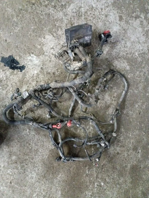 Проводка двигателя Nissan Pathfinder (R51M) 2004-2013 2010