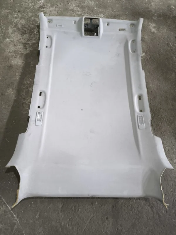 Потолок BMW X5 E70 (2006—2013)