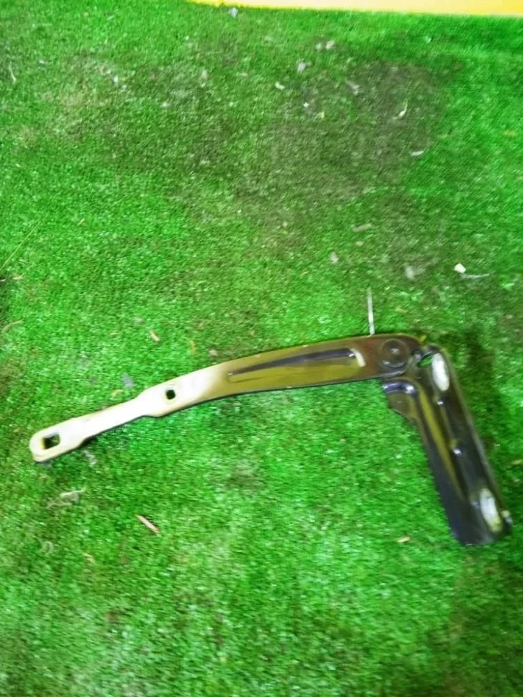 Петля капота Renault Duster 2013 654007102R X79 F4R400, правая