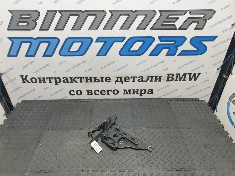 Петля капота Bmw X6 2013 41007198618 E71 N55B30A, правая