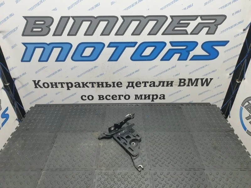 Петля капота Bmw X6 2013 41007198617 E71 N55B30A, левая