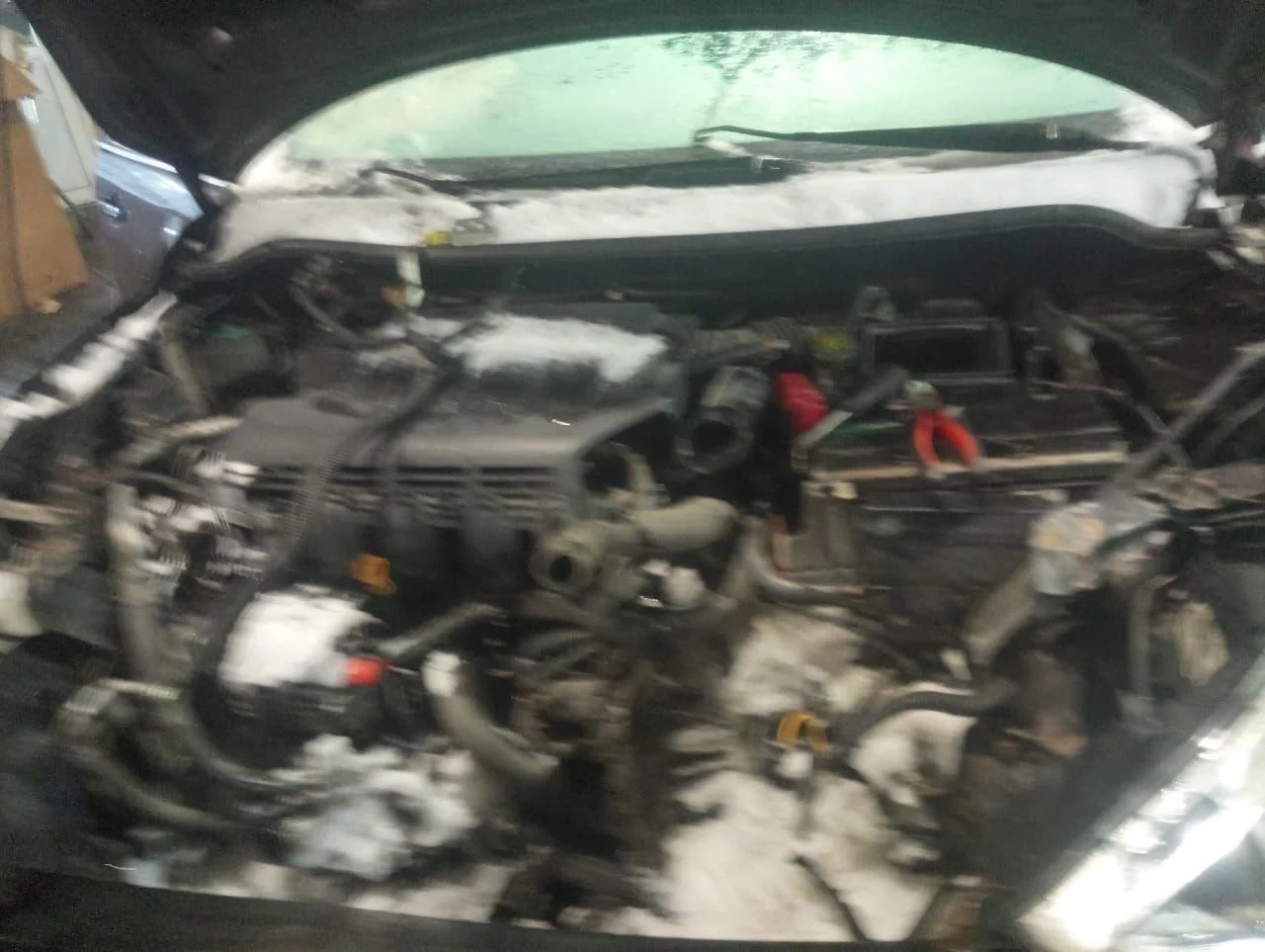 Стабилизатор поперечной устойчивости передний Nissan Tiida SC11 Седан 2007-2014