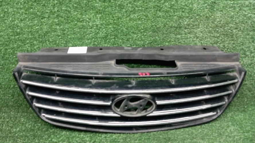 решетка радиатора Hyundai G6EA TG Hyundai Grandeur G6EA TG 863513L350