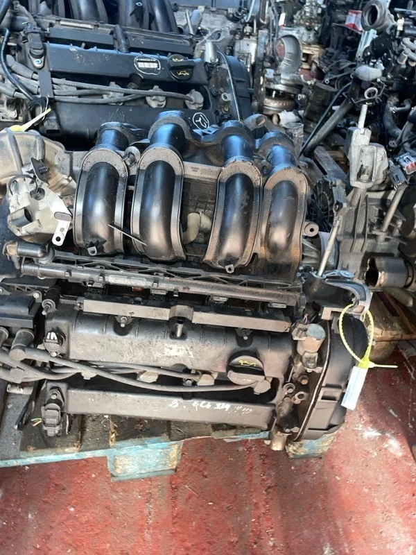 Двигатель Ford 1.6