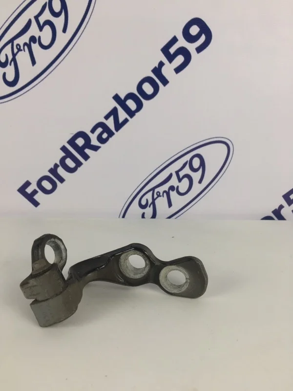 Петля двери нижняя Ford Focus 2 2010 5012194 CB4 1.6 (SIDA), передняя правая